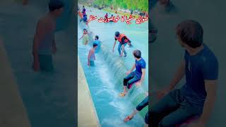 Swabi Steepa Ka Hosorat Manzar