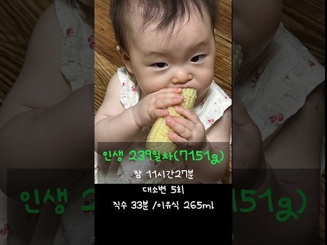 인생 239일차 소호의 하루! 이모와 이모부를 처음 만났소호! 외증조외할미댁 #7개월아기 #육아브이로그 #육아일상