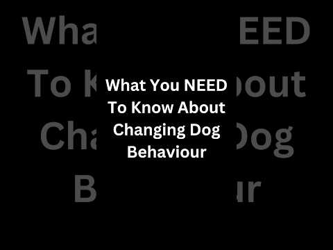 Uncovering the Secret Behind Dog Behavior Patterns #dog #dogtraining #dogshorts