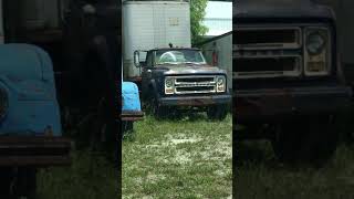 Truk semi Chevrolet C50 klasik. #celanapendek