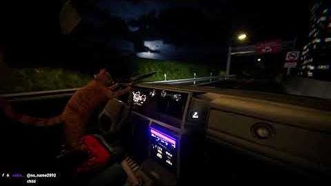 My Uber Driver Is A Cat And He Owns A Gun!