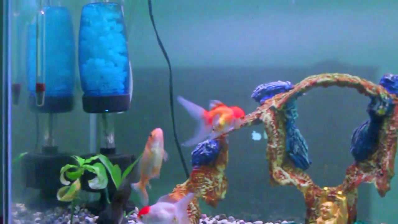 DIY K1 Media filter (Update) YouTube