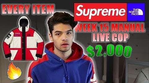SUPREME FW18 WEEK 15 MANUAL LIVE COP - The North Face Part 2