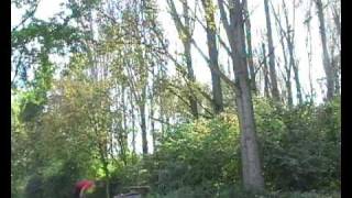 Gio 2008 compilation