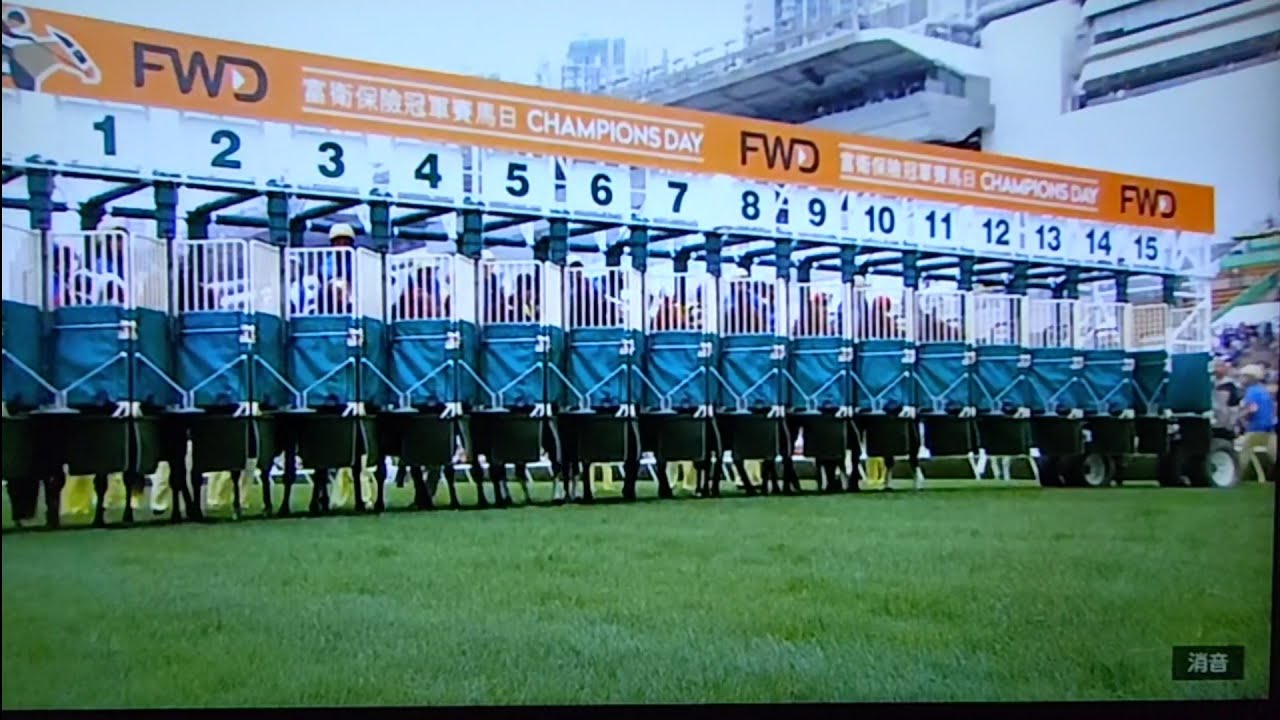 2025 第51回クイーンエリザベス2世カップ(G1)【タスティエーラ、プロ