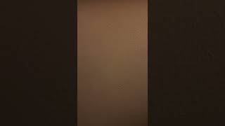 I’m in the back rooms now. I can’t find my way back…