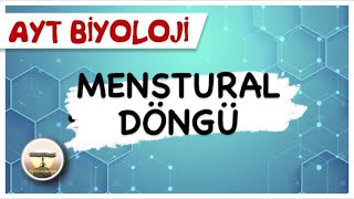 AYT Biyoloji | Menstural Döngü #sayfa118