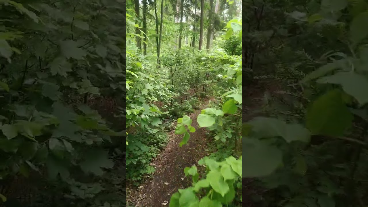 Starke Erfahrung -  Geführte Labyrinth-Begehungen