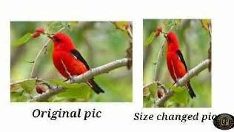 How to resize image using Ms-paint (Explained in Tamil) || Resize image using laptop