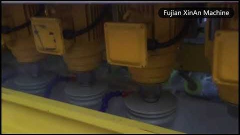 Automatic multihead edge polishing machine, edge profiling polisher