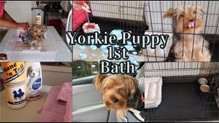 Lexi Yorkie Puppy First Bath | HOW TO BATHE A YORKIE PUPPY