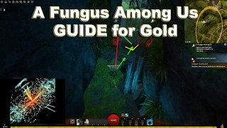 [GW2] A Fungus Among Us - GUIDE for Gold v2