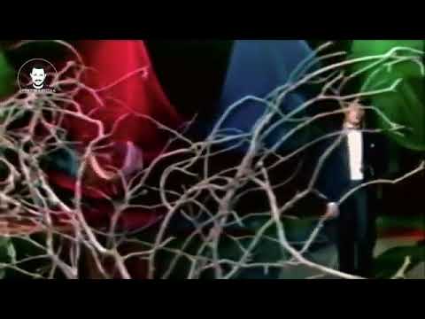 جورج وسوف وأغنية حتى إزيك مستخسرها ما بيقولهاش