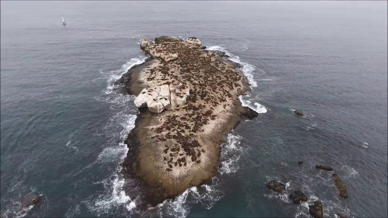 South Africa. Mossel bay. Beautiful. YouTube