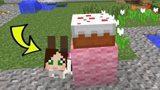 Minecraft: BUNNY HIDE AND SEEK!  BEATING POPULARMMOS