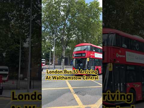 London Bus 55