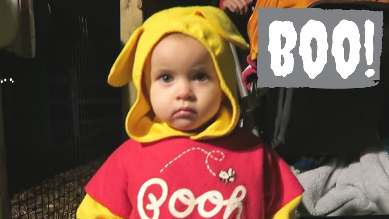 Night Eyes Trick Or Treating At The Zoo! YouTube