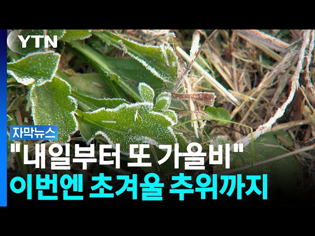 "내일부터 또 가을비"...이번엔 초겨울 추위까지 [자막뉴스] / YTN