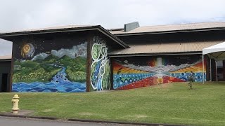 ʻŌiwi Tv Mele Murals Waimea