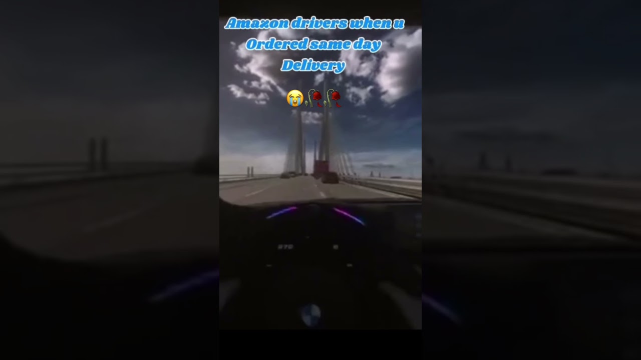 Amazon drivers when u pay more for same day delivery unexpectedly 💀