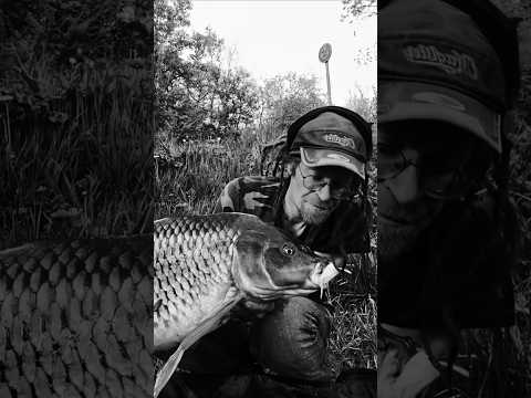 Gros Bidon Mais Bien Puissante Fishing Carp Pêche Carpfishing Pesca 