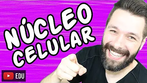 Quais são as estruturas que formam o núcleo celular?