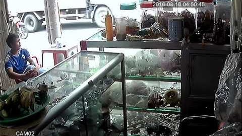 CAMERA CHIM CANH - CAMERASAIGON.COM.VN