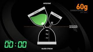 Performance Nutrition (Fueling) for Endurance Athletes - Why Fuel as a Runner?