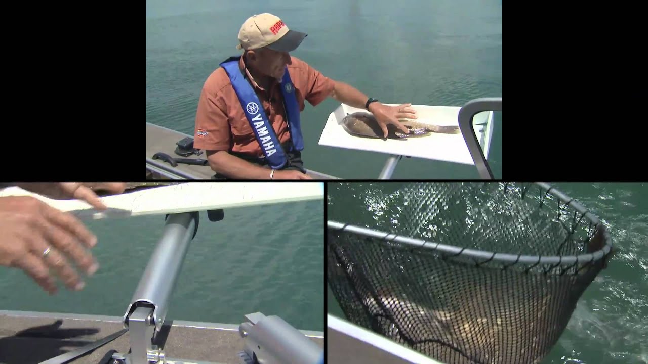 Sheepshead Lake Erie Part 4 of 4 YouTube