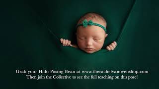 How to use the Newborn Halo Posing Bean for Photographers