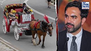 Mamdani's horse carriage ban sparks union backlash over 'anti-labor' crackdown