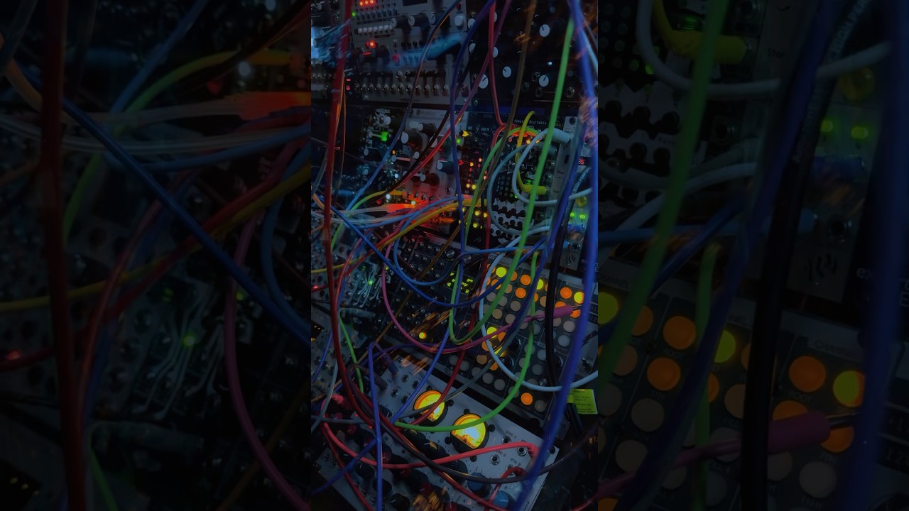 Modular Mayhum x Trip Inside Me  