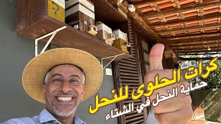 الحلوى و السكر للنحل هل يأثر على جودة العسل 🤔