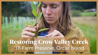 Restoring Crow Valley Creek | Orcas Island