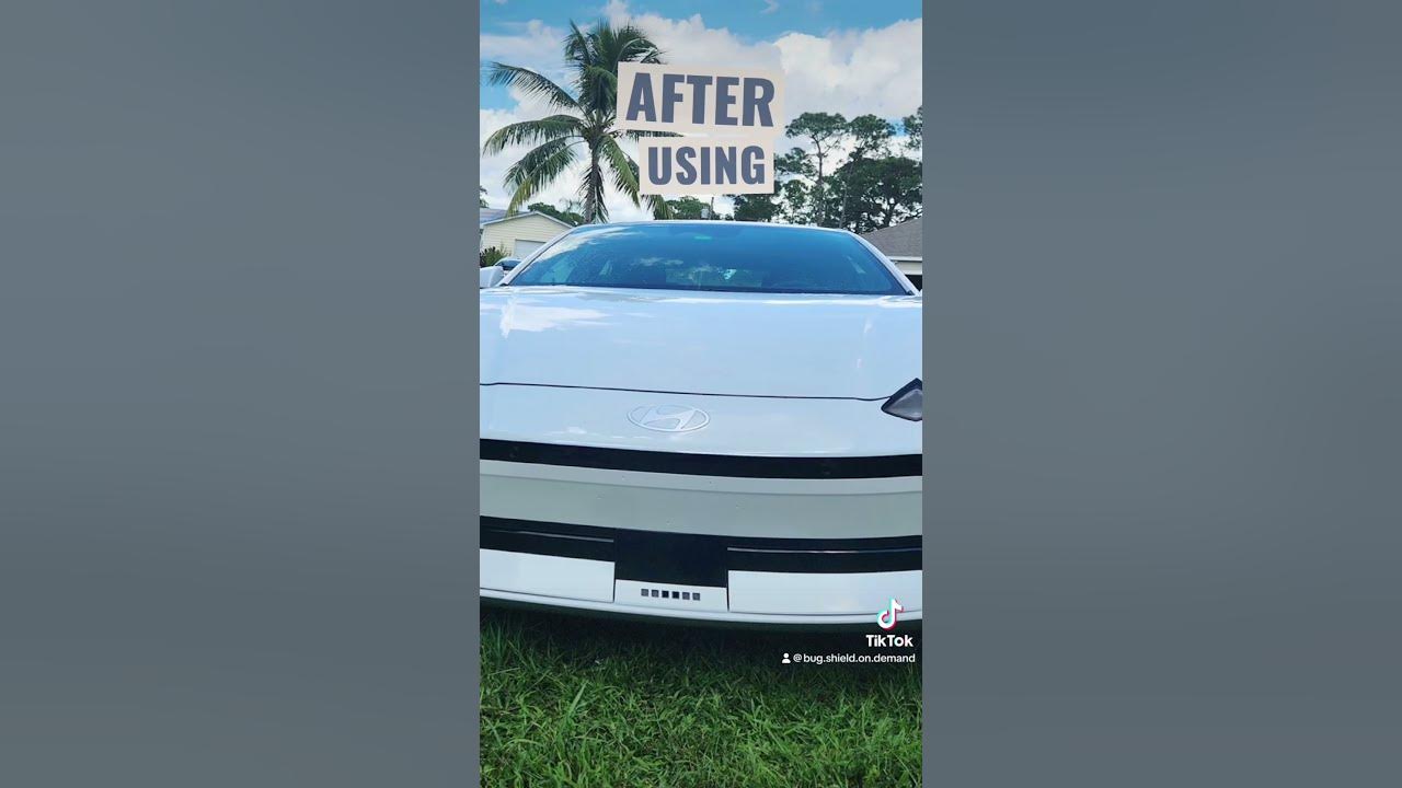 Before After Using Bug Shield on Demand automobile carwash 