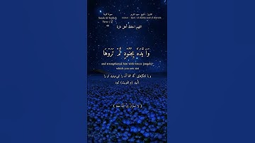 #اللهم_صل_وسلم_على_سيدنا_محمد #قران_كريم #quran #سعود_الشريم #سورة_التوبة #qarah #surah_at_tawbah