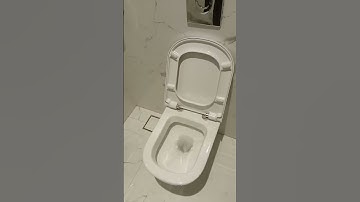 Walk hanging concealed cistern toilet #viral #shortsvideo #luxurylifestyle