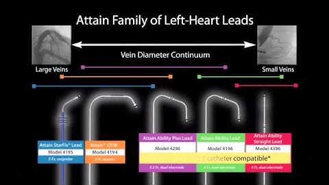 Attain®Ability Straight Model 4196 Left Heart Lead for CRT Implantation - small to medium (For impl