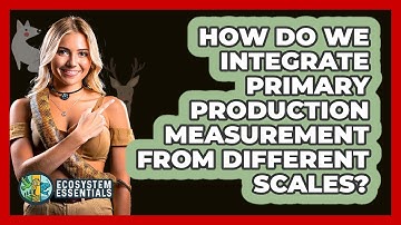 How Do We Integrate Primary Production Measurement From Different Scales? - Ecosystem Essentials