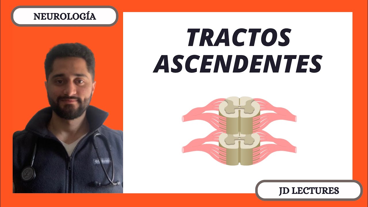 GENERALIDADES | TRACTOS ASCENDENTES | NEUROLOGÍA