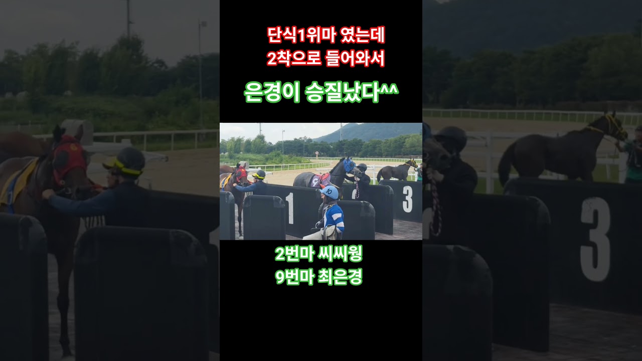 씨씨웡 왜그랬어^^ #경마 #말#달려라말 #shorts