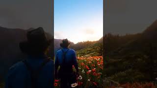 Download Lagu Calming Sunset In RDR 2 #rdr2 #gaming #shorts MP3 Download Lagu Calming Sunset In RDR 2 #rdr2 #gaming #shorts MP3
