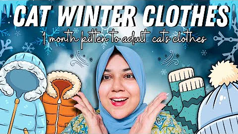 Video 11754581: persian cat, cat newborn kittens, cat outdoor, cat shelter, kitty