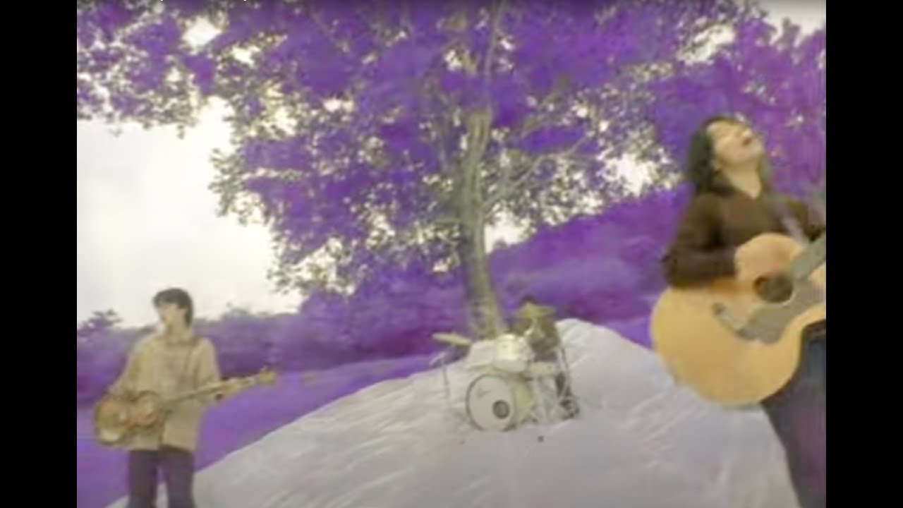 サニーデイ・サービス,冷し中華EP,新品未開封,CD+手ぬぐい,曽我部恵一 サニーデイ・サービスがEP『冷し中華 EP』をリリース カヴァー