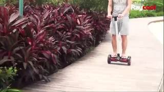 Patinetes Electricos Raycool Stick