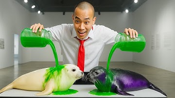 TẬP 17: CAPYBARA l TRỌC ĐÁNH TRÁO l SIÊU HÀI HƯỚC...