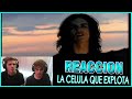 ARGENTINOS REACCIONAN A Caifanes - La Célula que explota