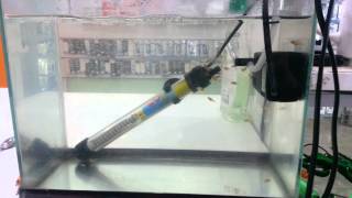 Laz Bilgisayarcı Çıldırdı Laz A Şaka Yapılmazmış Anladık D