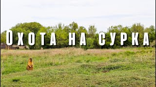 Охота на сурка! Фотоохота в Ростовской области!