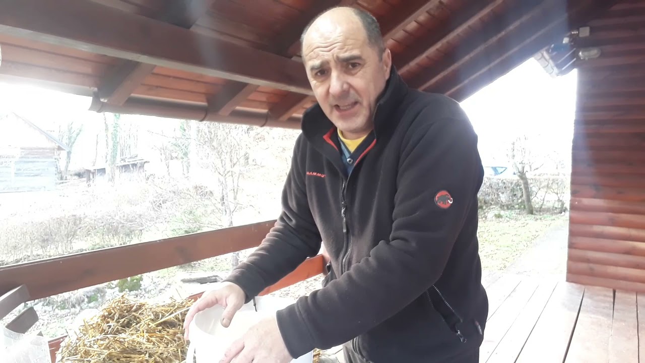 Uzgoj gljiva u kanti